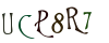 random image