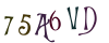 random image